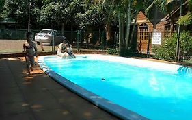 Cedros